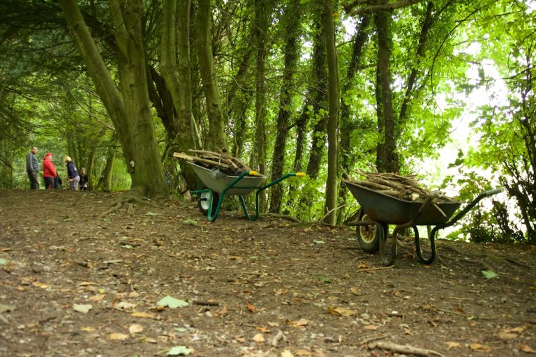 One Roots Brighton Roots & Boots wellbeing in nature group - Brighton and Hove Food ...