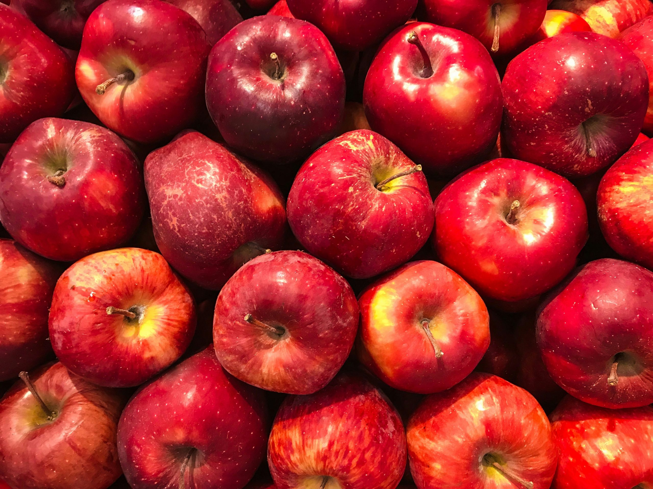 Apple Fruit Leather