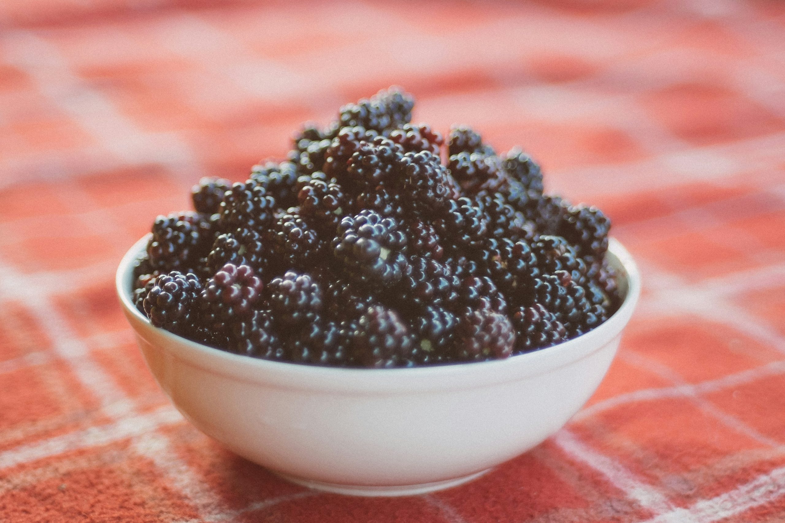 Blackberry Wine