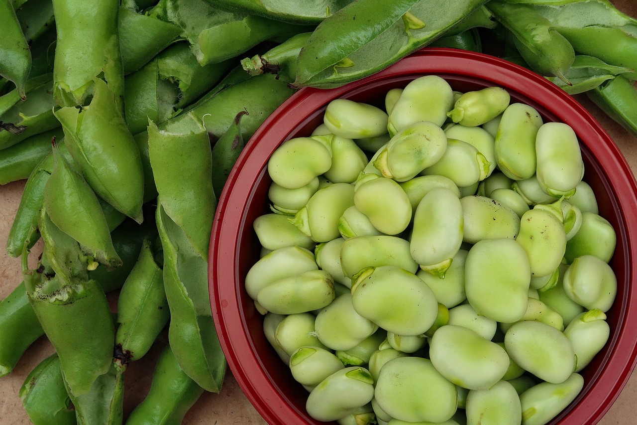 Broad Bean Hummus