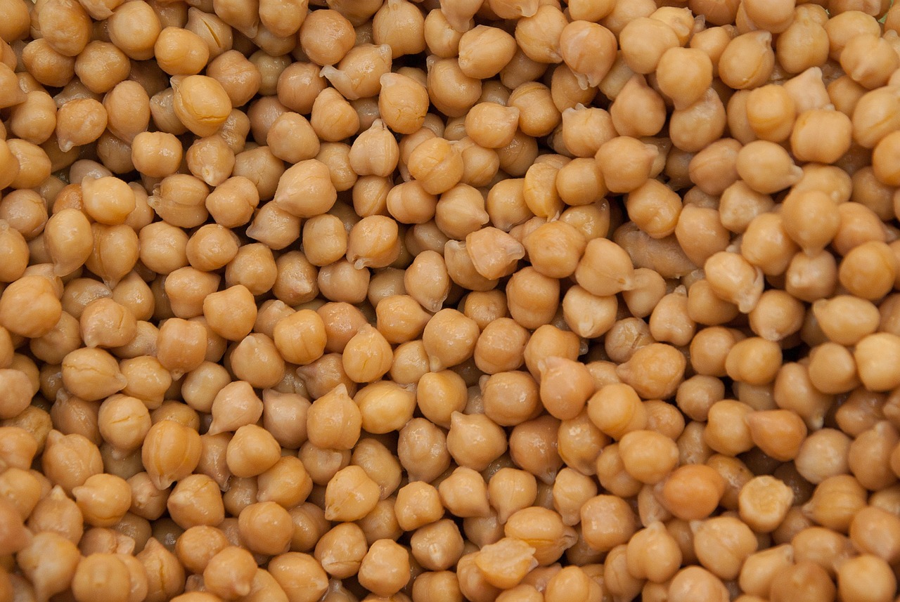Chickpea Burgers