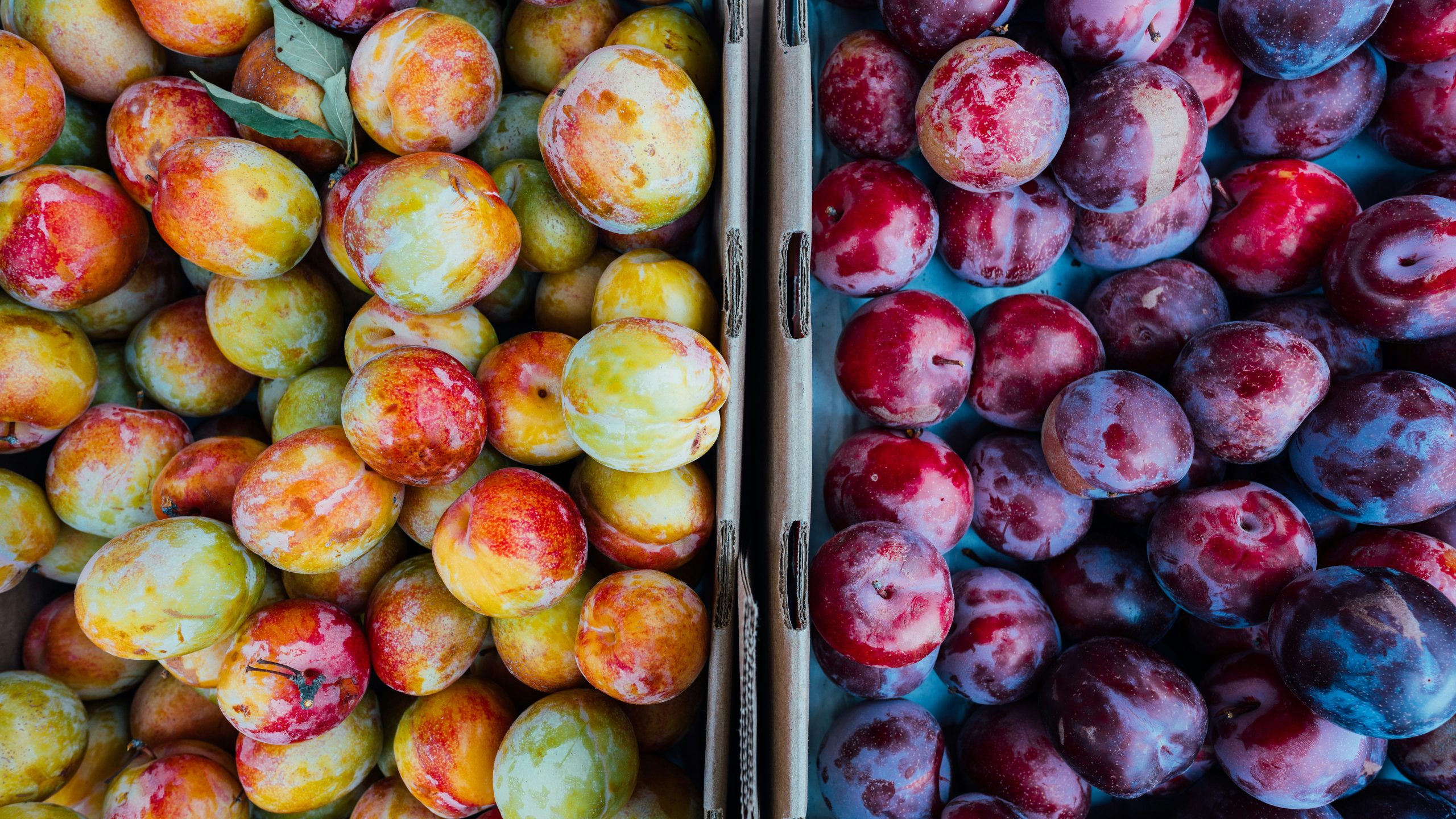 Plum Jam