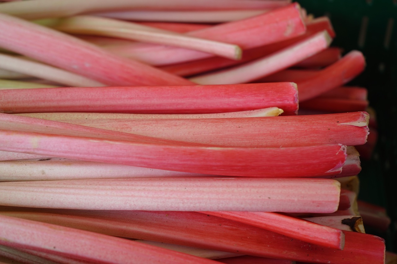 Rhubarb and Ginger Ice Cream