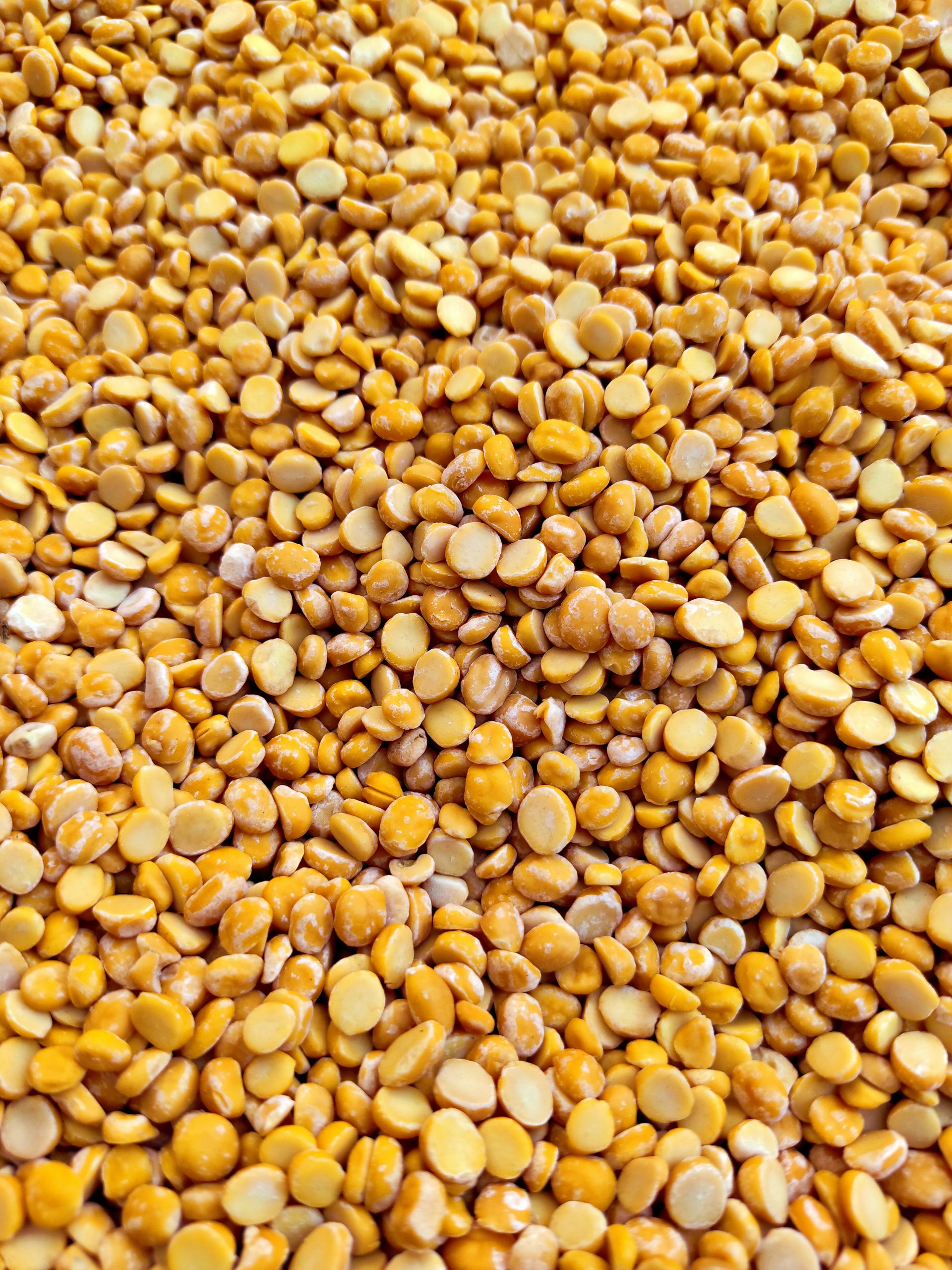 Tarka Dhal