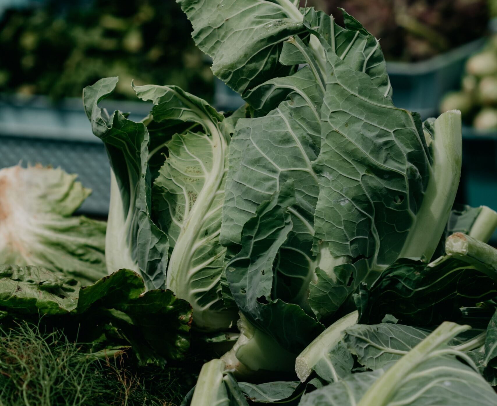 Simple Lemony Spring Greens