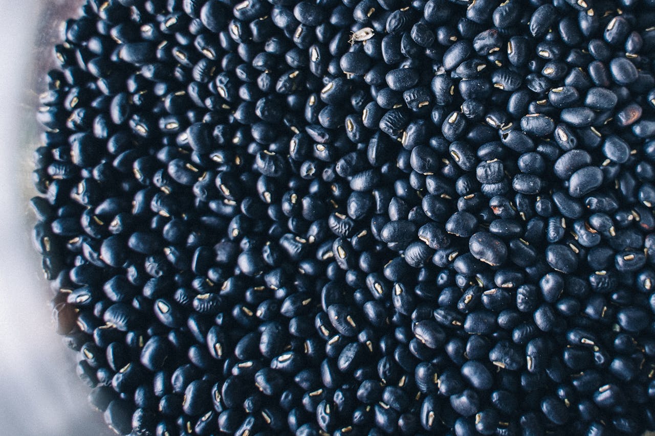 Black Bean Hummus