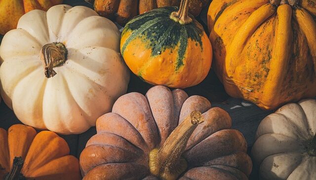Squash parmigiana